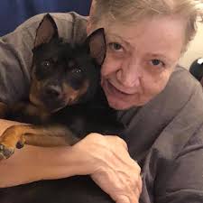 Where to buy the cookware and how much does it cost?