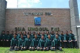 Koleksi soal psikotes masuk sma favorit dan jawabannya download. Kisi Kisi Materi Ujian Masuk Sma Unggul Del Untuk Ipa Dan Ips Ruang Para Bintang Berbagi Informasi Tentang Ptn Dan Pembahasan Soal Soal