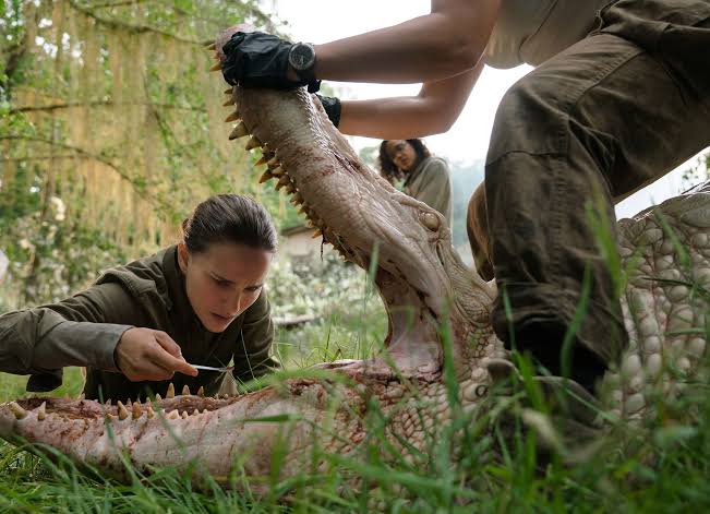Review: The Pseudo-Mysterious Seriousness of “Annihilation” | The New Yorker