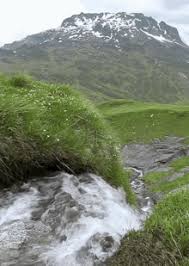 Billions of free downloads served. Beautiful Animated Pictures Of Nature Gifs Tenor