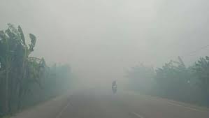 Check spelling or type a new query. Kebakaran Lahan Di Ogan Ilir Sumsel Asap Tutupi Jalan Lintas Timur Sumatera