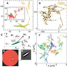 A And B 10 000 Step 2d Random Walk Trajectories For An