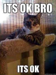 Its Ok Bro Its Ok The Most Interesting Cat In The World Quickmeme