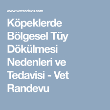 kopeklerde bolgesel tuy dokulmesi nedenleri ve tedavisi vet randevu kopek veterinerler tuy