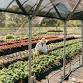 Spier Food Garden Self-Harvesting - Garden Town event image