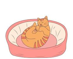 relaxed cat lying on a cat bedの画像