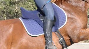Is It Wrong To Jump Your Horse In A Dressage Saddle Horsetalk Co Nz