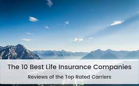 Check spelling or type a new query. 10 Best Life Insurance Companies Top Carrier Reviews 2020