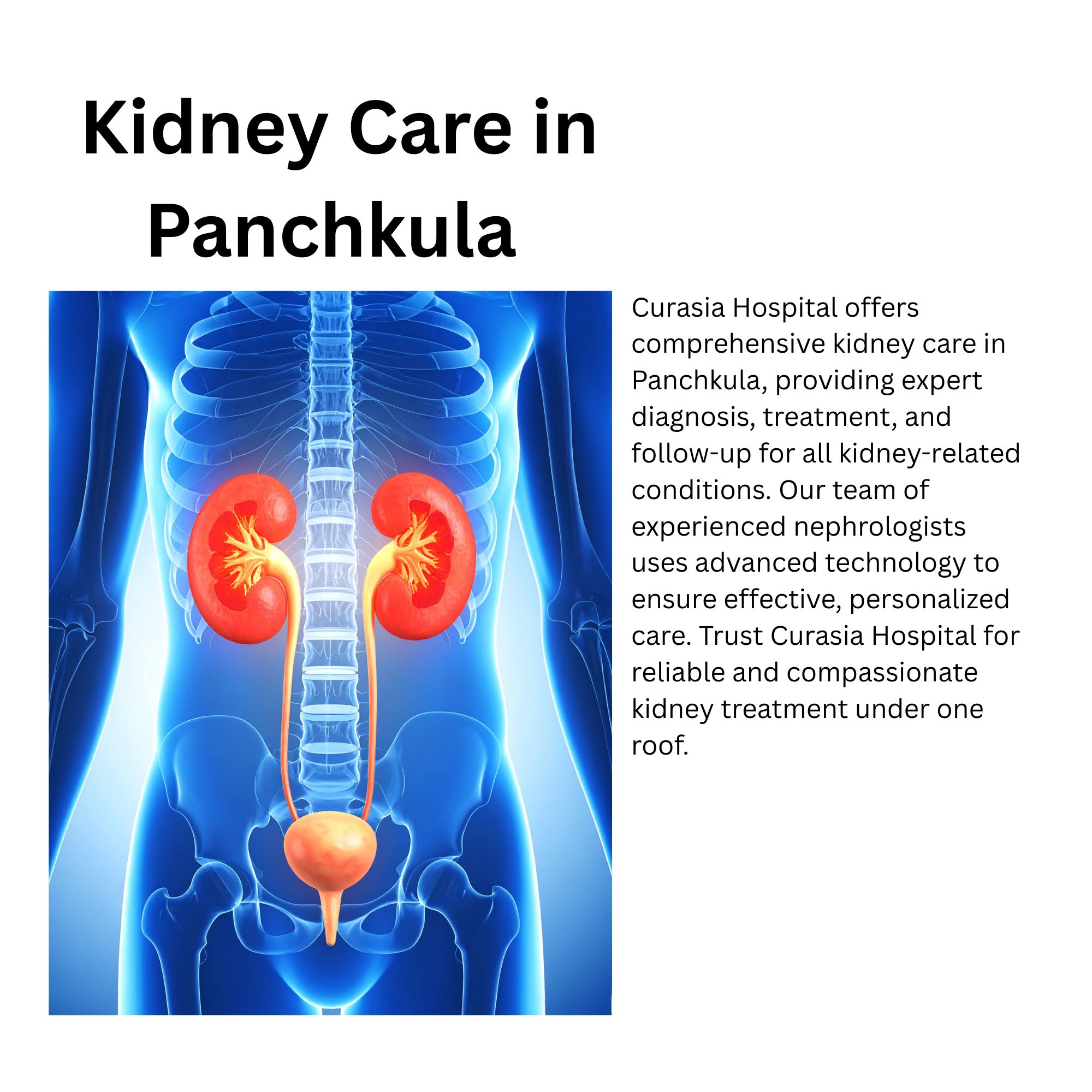 Kidney Care in Panchkula product image