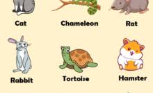 Spring into jill martin's birthday bonus with beauty and fashion up to 82% off sections show more follow today funny photos of pets, cute ani. 100 Birds Name In English Definition And Example Sentences Lessons For English