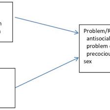 Pdf Risky Behaviors Of Adolescents Definitions And Prevention