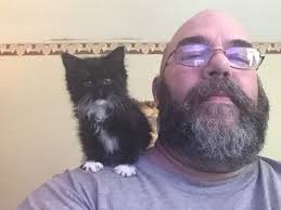 Is this a Katydid in Western New York?