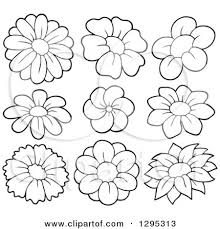 Daffodils narcissus dense outline sketch drawing floral seamless. Clipart Of Black And White Lineart Spring Flower Blooms Royalty Free Vector Illustration By Visekart 1295313