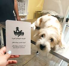 گالری آدورینایی ها - نژاد های مختلف | کلینیک آدورینا