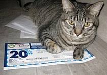 To securely print our coupons please visit on a desktop computer. You Can Use Bed Bath And Beyond Coupons At Babies R Us Sometimes Consumerist