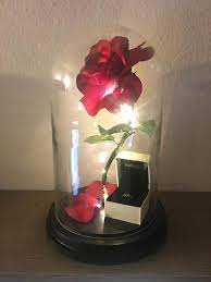 Enchanted Rose Beauty And The Beast Rose Anniversary Etsy Flower Lamp Enchanted Rose Beauty And The Beast