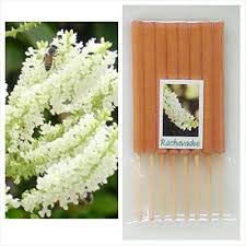 Maybe you would like to learn more about one of these? Rachavadee Butterfly Bush Scents 80 Sticks Mini Incense Sticks Thai Spa Aromatherapy Home Of Herb Fragrance Length 3 Buy Online In Cambodia At Cambodia Desertcart Com Productid 22126574