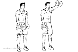 We did not find results for: Forward Front Dumbbell Raises Shoulder Workout Shoulder Raises Workout Guide