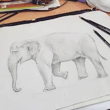Gambar sketsa gajah nampak depan. Stashartworks Instagram Posts Photos And Videos Picuki Com