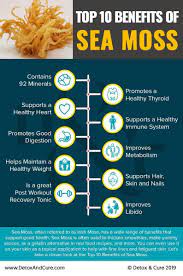 Benefits, how much to take, & how to make irish sea moss gel. Dr Sebi Sea Moss Capsules 100 Vegan Capsules Best Around Etsy Irish Sea Moss Natural Cough Remedies Moss