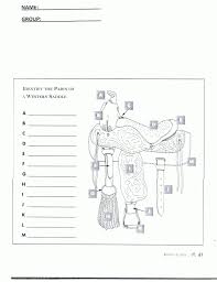 Pin By Kids Love Pony Parties On Pony Camp Worksheets Horse Anatomy Horses Horse Lessons