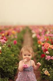 Cute and lovely baby pictures free download among all relationship , the most important and lovely relationship is between parent and child. Cute Baby Girl Pictures With Flowers Novocom Top