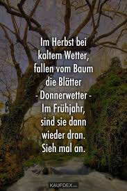 im herbst bei kaltem wetter fallen vom baum die blatter kaufdex kaltes wetter wetter kaltes wetter lustig