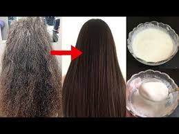 Digital journal is a digital media news network with thousands of digital journalists in 200 countries around the world. Little Diy Youtube Treat Damaged Hair Dry Frizzy Hair Treatment Hair Treatment Damaged