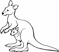 The kangaroo is a marsupial from the family macropodidae (macropods, meaning large foot). Kangaroo Coloring Pages Pdf For Kids Coloringfolder Com
