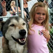 Howling Woods Farm Farm Kids Wolf Dog Majestic Animals