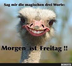7 Freitagsspruche Ideen Freitagsspruche Freitag Spruche Freitag Lustig