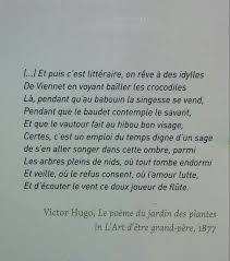 pin by rachel gardner on pensees victor hugo quotes victor