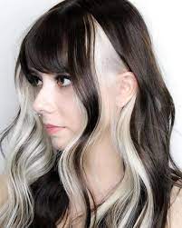 Untitled Hair Color Underneath Two Color Hair Aesthetic Hair