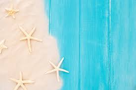 Check spelling or type a new query. 21 000 Sea Shell Pictures
