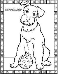 Schnauzer Dog Coloring Page Coloring Pages Dolphin Coloring Pages