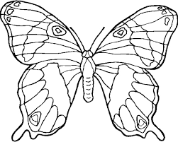 Disegno Farfalla Da Coloraredisegno Farfallina Da Colorare