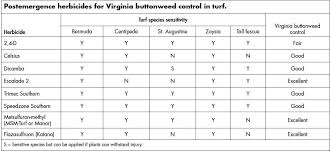 Virginia Buttonweed Control Mississippi State University
