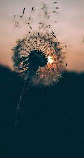 Pin De Maggie T En Lugares Hermosa Naturaleza Fotografia De Naturaleza Fotografia Paisaje