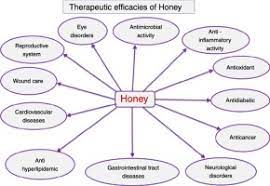 Manuka doctor, manuka honey multifloral, mgo 45+, 1.1 lbs (500 g). Biological And Therapeutic Effects Of Honey Produced By Honey Bees And Stingless Bees A Comparative Review Sciencedirect