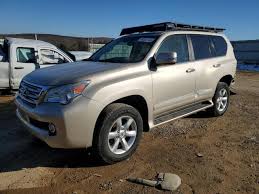 Image result for Satin Cashmere 2012 GX