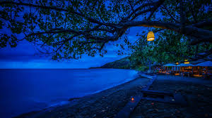 If you're in search of the best cool tree backgrounds, you've come to the right place. 3585 Branches Tree Night Blue Cool Weather Android Iphone Hd Wallpaper Background Download Png Jpg 2021