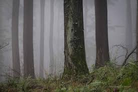 Ab Nach Draussen Blogger Geben Outdoortipps Fur Den Winter