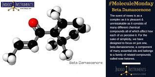 Chemistry Molecule Science Memes Organic Chemistry Molecular