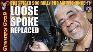 OceanAria Aqua Show snippets. Amazing even during the daytime