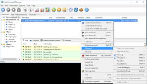 It is very easy to use and it is developed under a intuitive interface that will be used by experts and novices. Download Free Download Manager Lite 3 9 7 Build 1641