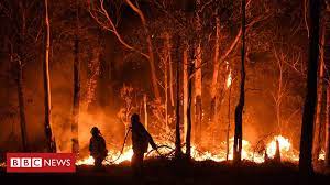 Australia Fires British Firefighters To Assist With Clean Up Bbc News