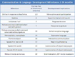 Language Development Birth Through Age 25