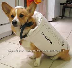 Starbucks Dog Costume Easy And Inexpensive Dog Costume Diy Dog Costumes Dog Halloween Costumes