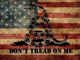 Indeed the don't tread on me flag has at times in the past been hijacked by less than savoury groups. 53 Don T Tread On Me Gadsden Flags Ideas In 2021 Dont Tread On Me Gadsden Flag Gadsden