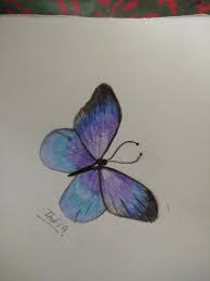Butterfly Drawing Butterfly Drawing Butterfly Drawings With Color Drawings